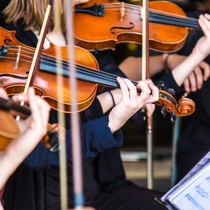 Close-up of violinists performing at Symphony Sounds Live Concert.